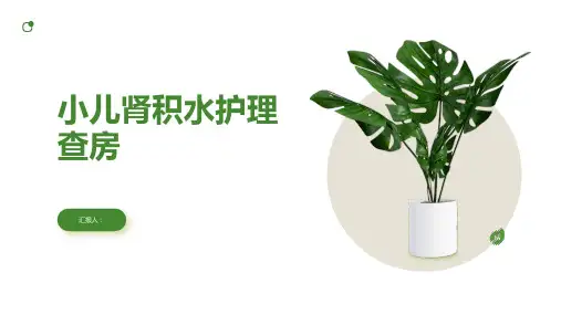 2024年小儿肾积水护理查房PPT