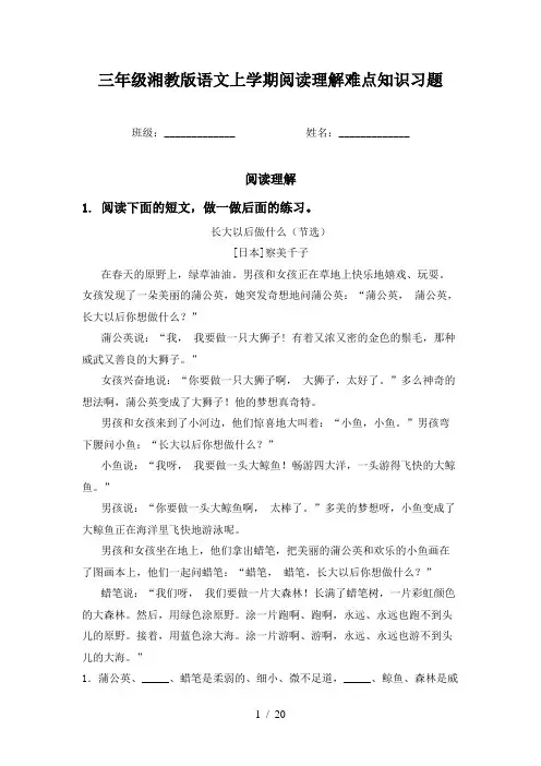 三年级湘教版语文上学期阅读理解难点知识习题