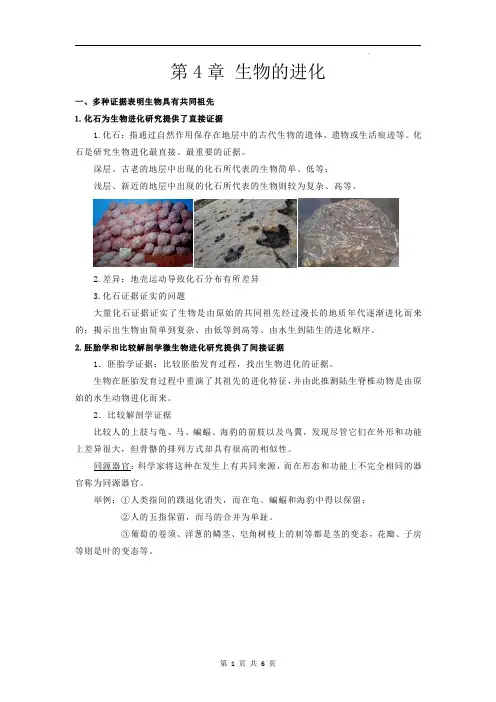 上海市高中生物必修2：第四章生物的进化知识点
