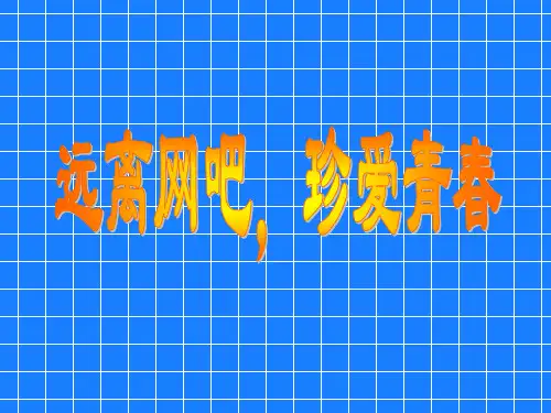 远离网吧,珍爱生命  主题班会   主题班会 获奖课件PPT