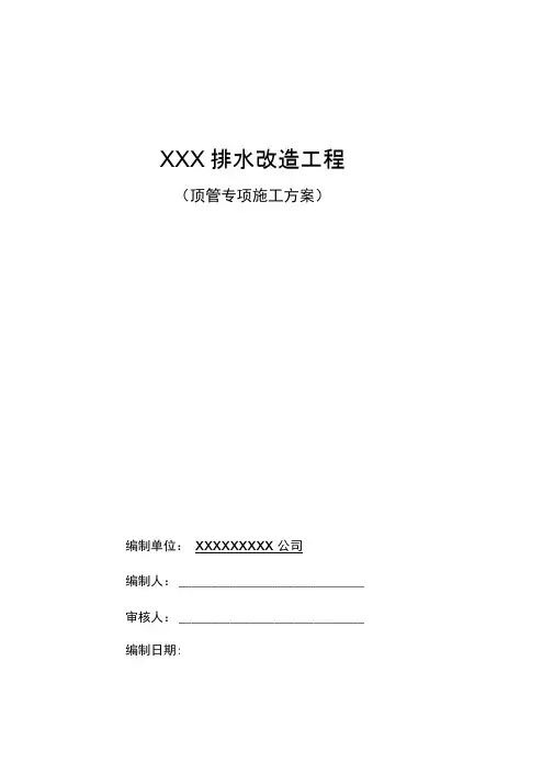 专家论证方案沉井施工方案概要