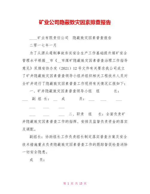 矿业公司隐蔽致灾因素排查报告
