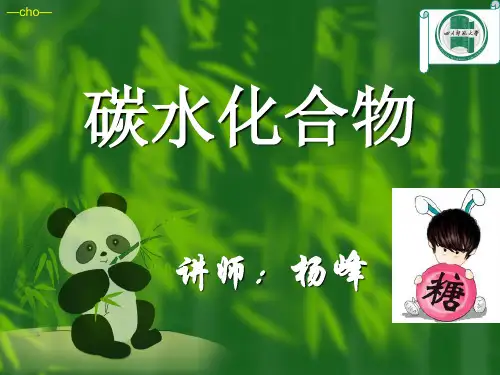 营养师 课件   碳水化合物