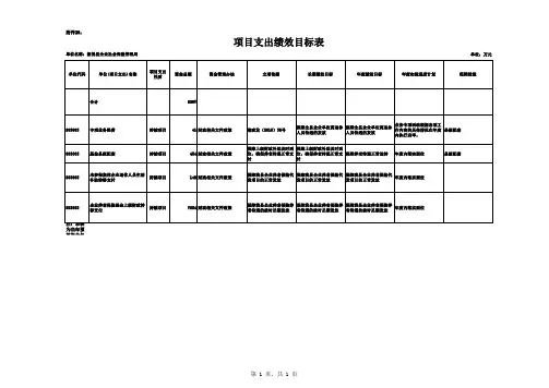 29、项目支出绩效目标表