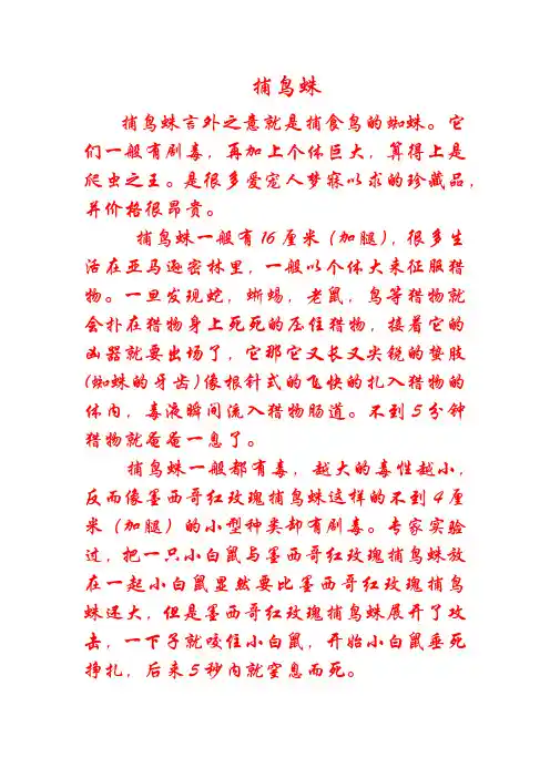 捕鸟蛛