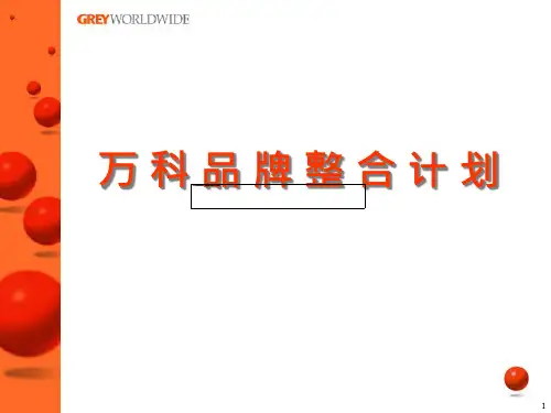 某地产品牌整合计划(PPT20)