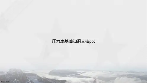 压力表基础知识讲课文档