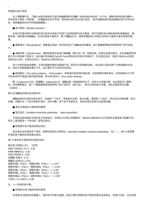 呼吸链与电子传递［细胞生物学］