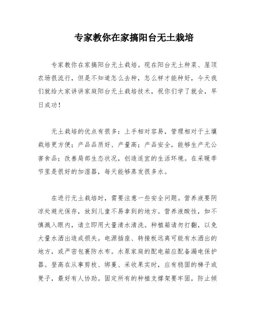 专家教你在家搞阳台无土栽培