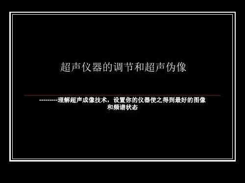 超声仪器的调节与超声伪像