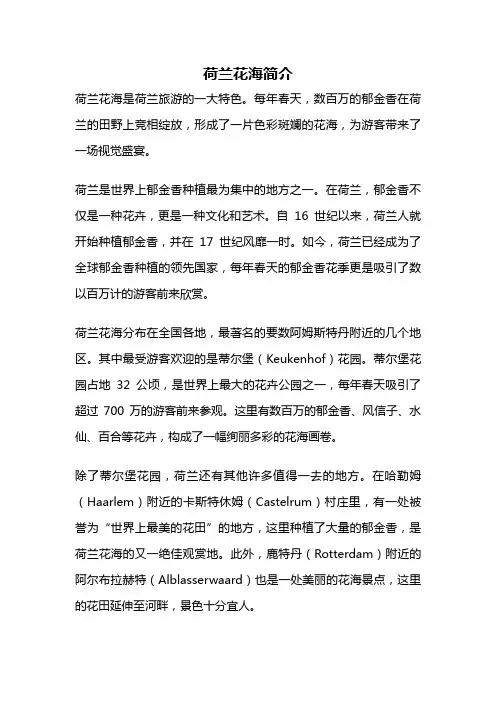荷兰花海简介