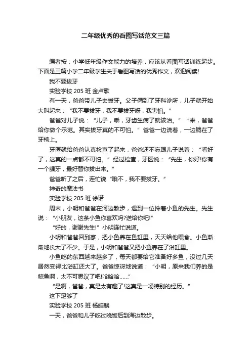 二年级优秀的看图写话范文三篇