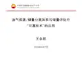 储量分类体系及储量评估技术