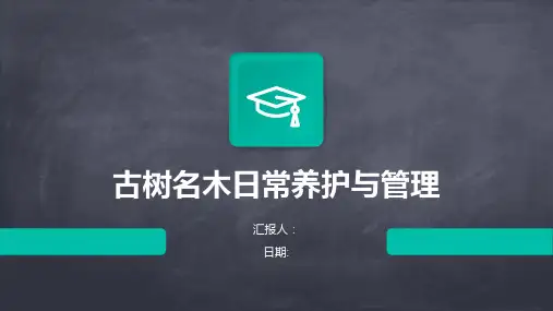 古树名木日常养护与管理