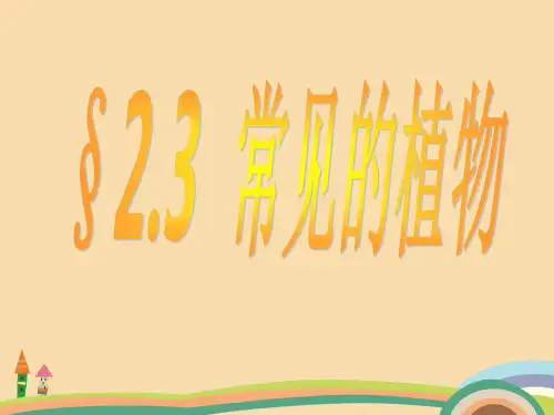 七年级科学常见植物PPT优秀课件