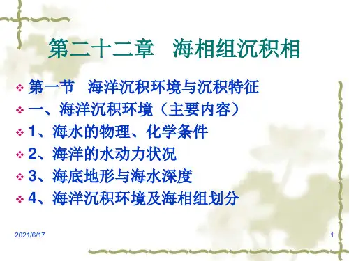 石油地质第二十二章   海相组沉积相