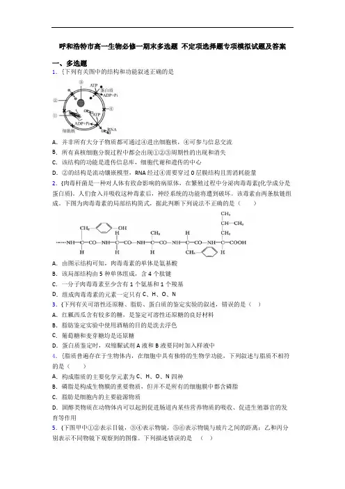 呼和浩特市高一生物必修一期末多选题 不定项选择题专项模拟试题及答案