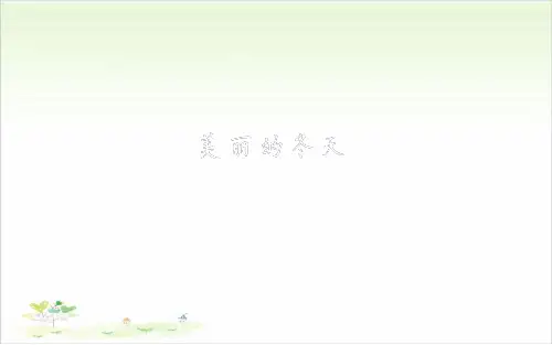 一年级上册道德与法治-13《美丽的冬天》-【人教新版】(共33张)-PPT课堂课件