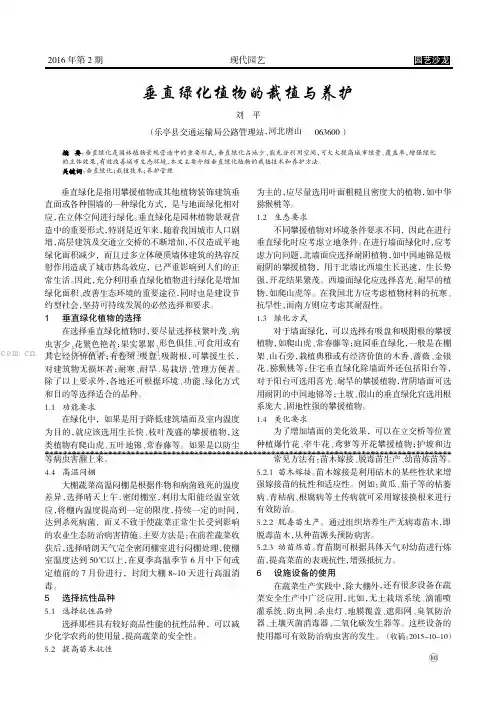 垂直绿化植物的栽植与养护