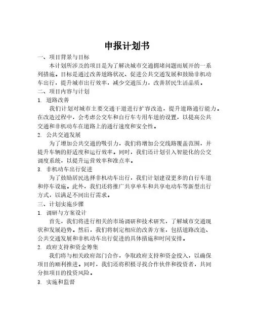 申报计划书