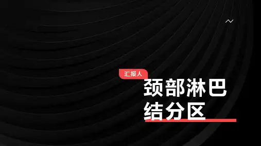 颈部淋巴结分区