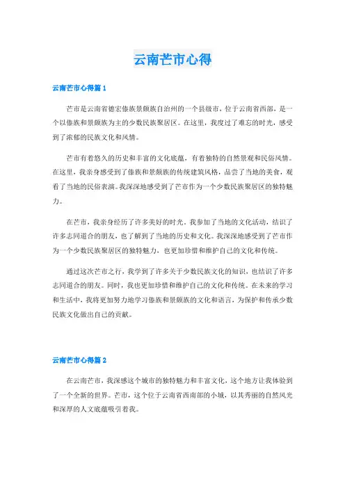 云南芒市心得