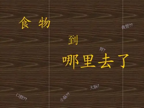 食物到哪里去了