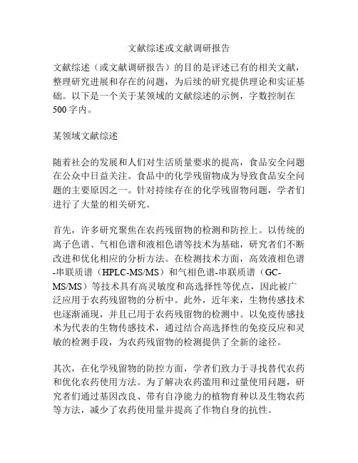 文献综述或文献调研报告