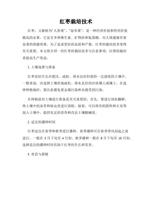 红枣栽培技术