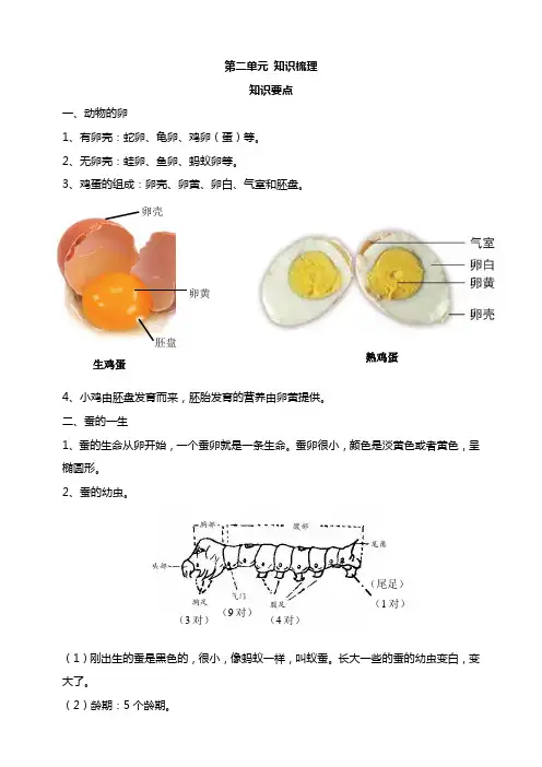 新教材教科版小学科学三年级下册第二单元动物的一生知识要点