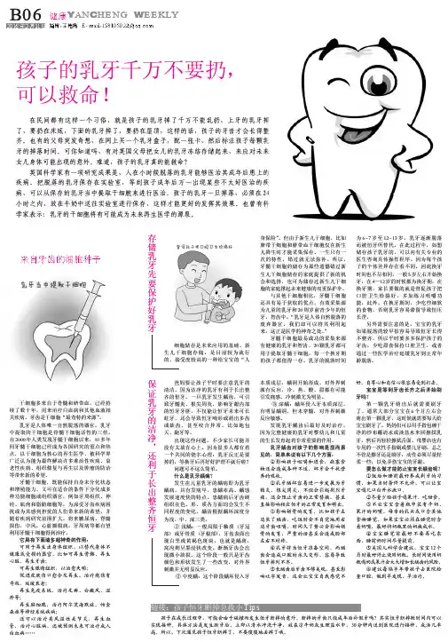 孩子的乳牙千万不要扔,孩子的乳牙千万不要扔,