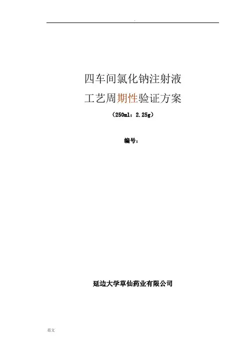 氯化钠注射液方案