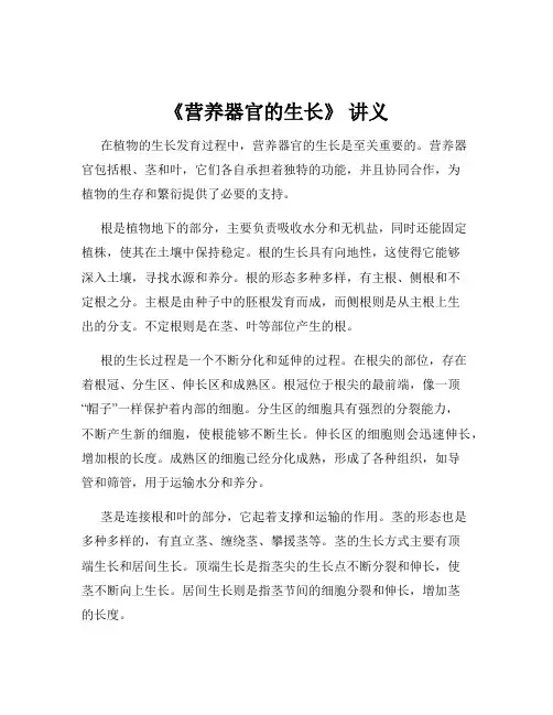 《营养器官的生长》 讲义
