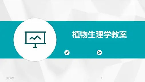 植物生理学教案(2024)