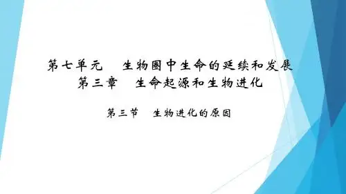 人教版八年级生物下册PPT课件第7单元第3章 第3节 生物进化的原因