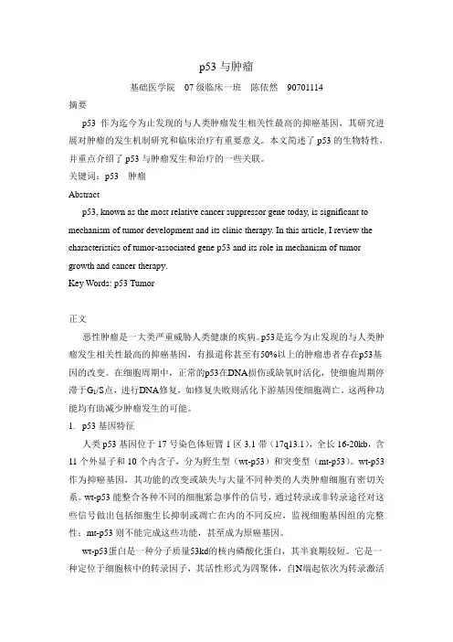 p53与肿瘤