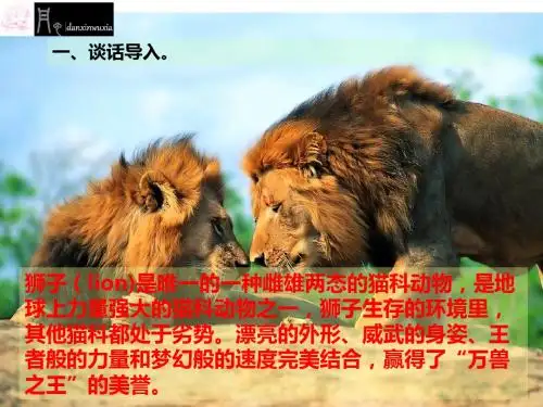 《小狮子爱尔莎》课件(终极版).ppt