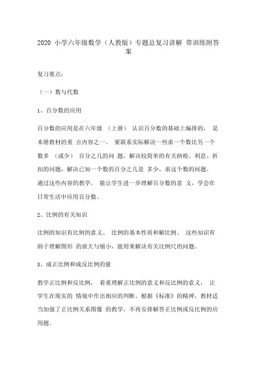 2020小学六年级数学(人教版)专题总复习讲解带训练附答案