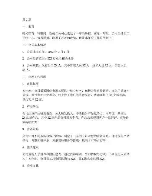 新成立公司的年度总结(3篇)