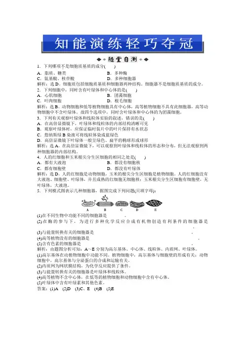 中图版生物必修1：第一单元 第二章 第二节 知能演练轻巧夺冠