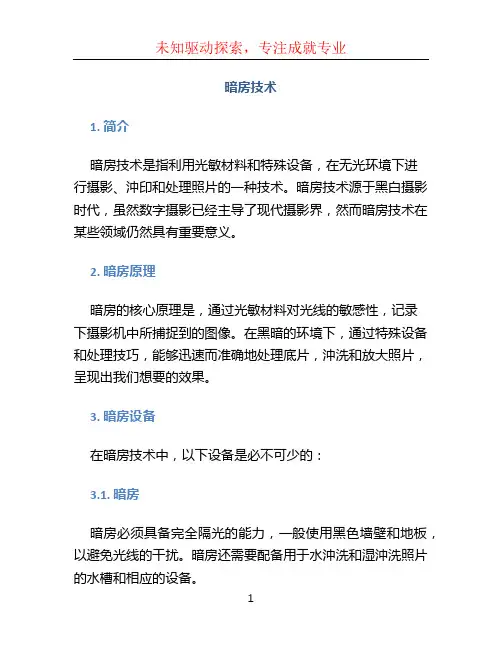 暗房技术 (3)
