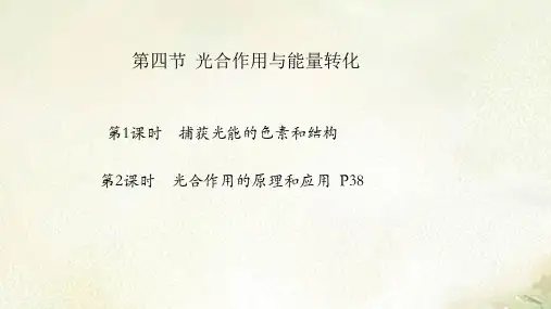 新教材人教版高中生物必修1第五章第四节光合作用与能量转化 教学课件