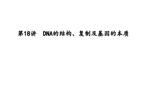 高三生物一轮复习课件：第18DNA的结构、复制与基因的本质