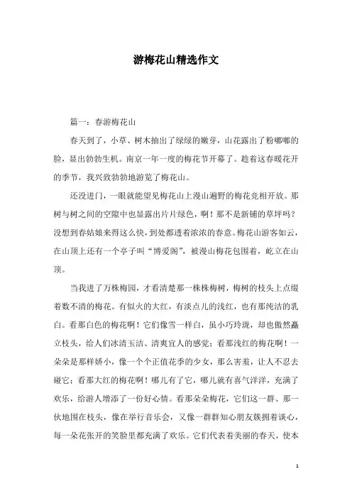 游梅花山精选作文