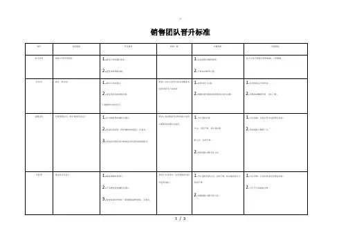 (ZJ)销售团队晋升标准