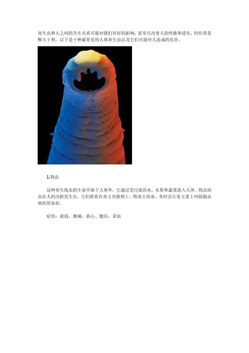 人体十大寄生虫