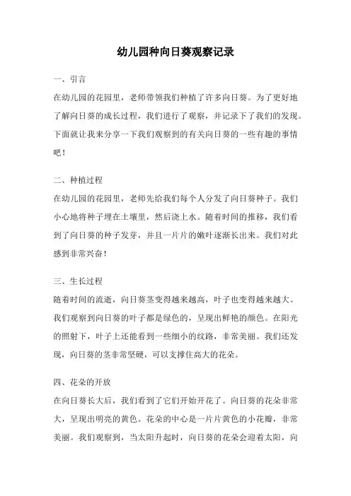 幼儿园种向日葵观察记录