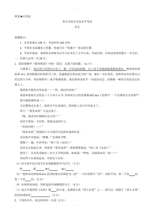 2019-2020学年山东枣庄中考语文模拟试卷-试卷