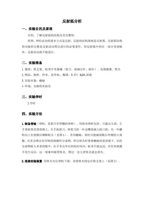 生理学实验教案——反射弧分析