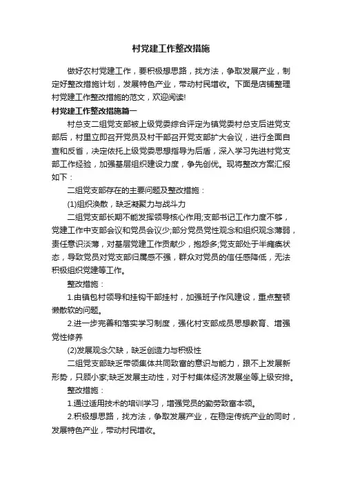 村党建工作整改措施